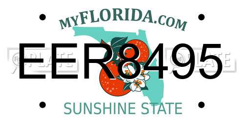 EER8495 Florida License Plate