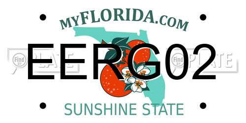 EERG02 Florida License Plate
