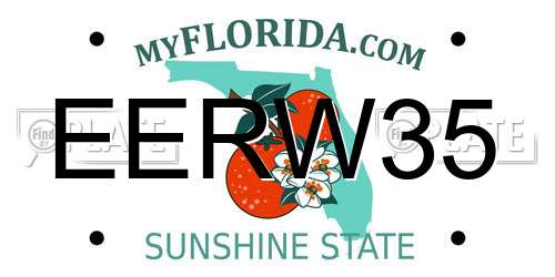 EERW35 Florida License Plate