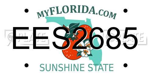 EES2685 Florida License Plate