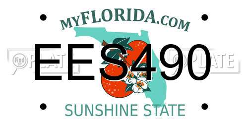 EES490 Florida License Plate