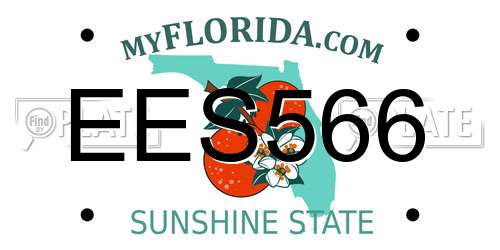 EES566 Florida License Plate