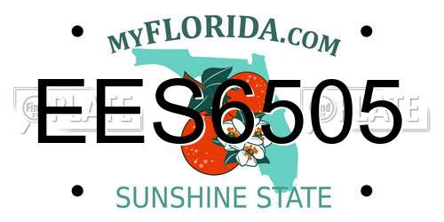 EES6505 Florida License Plate