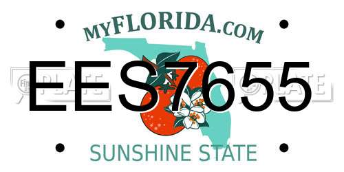 EES7655 Florida License Plate