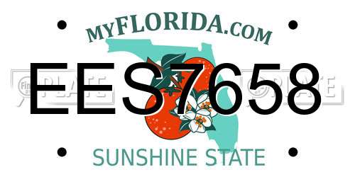 EES7658 Florida License Plate