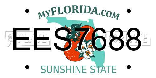 EES7688 Florida License Plate