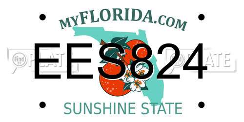 EES824 Florida License Plate