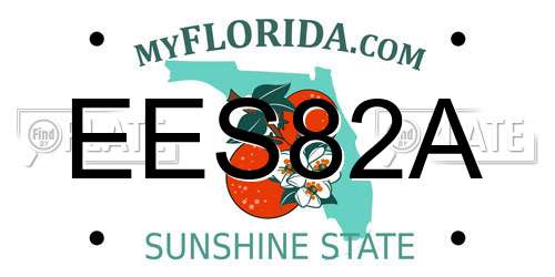 EES82A Florida License Plate