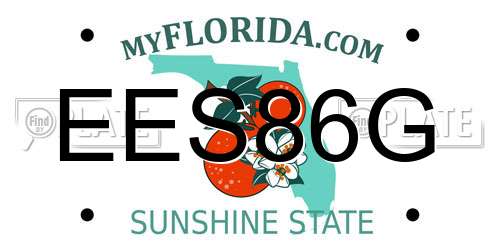 EES86G Florida License Plate