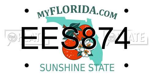 EES874 Florida License Plate