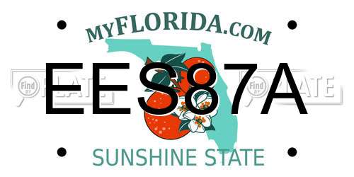 EES87A Florida License Plate