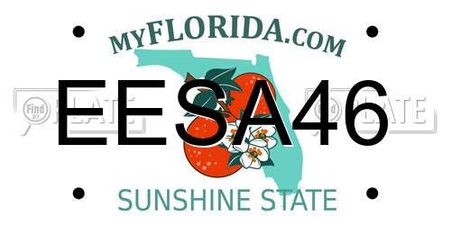 EESA46 Florida License Plate
