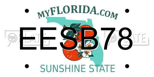 EESB78 Florida License Plate