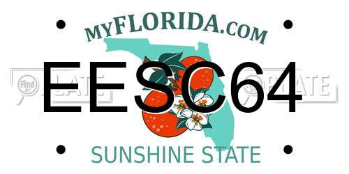 EESC64 Florida License Plate