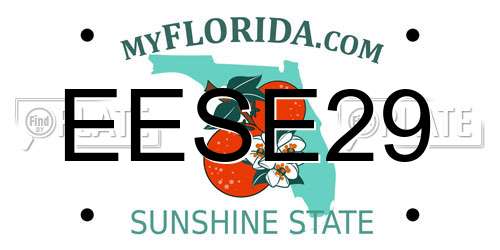 EESE29 Florida License Plate