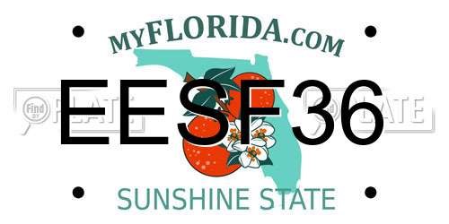 EESF36 Florida License Plate