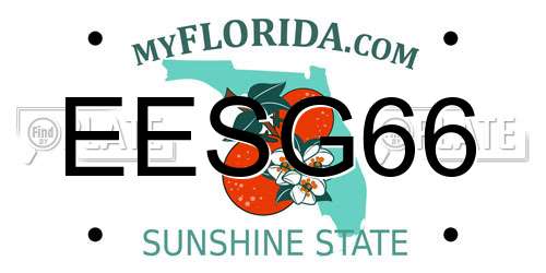EESG66 Florida License Plate