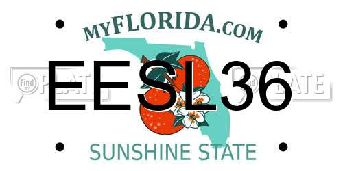 EESL36 Florida License Plate