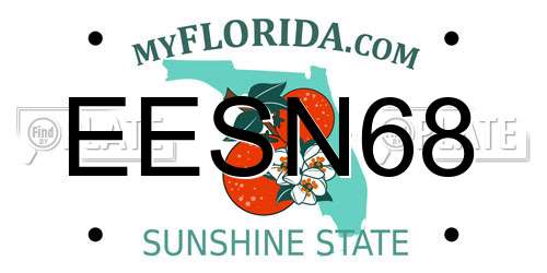 EESN68 Florida License Plate