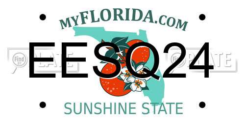 EESQ24 Florida License Plate