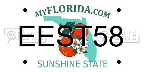 EEST58 Florida License Plate