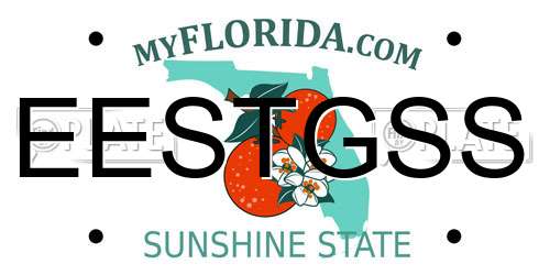 EESTGSS Florida License Plate