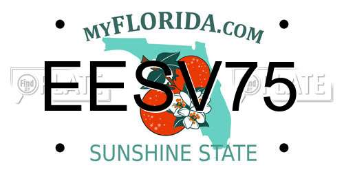 EESV75 Florida License Plate