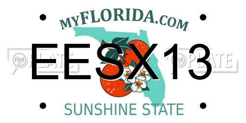 EESX13 Florida License Plate