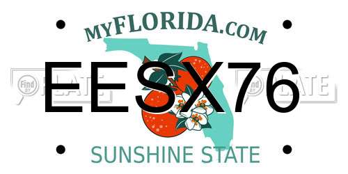 EESX76 Florida License Plate