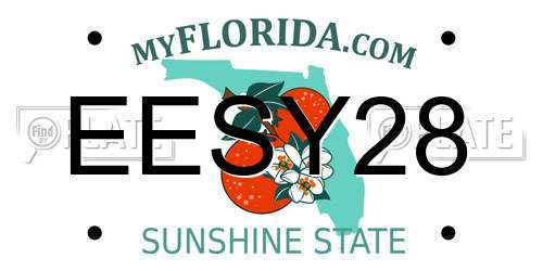 EESY28 Florida License Plate