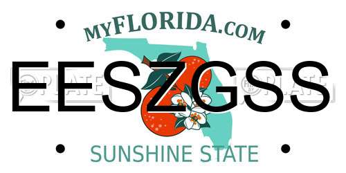 EESZGSS Florida License Plate
