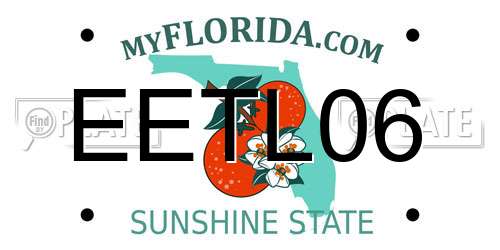 EETL06 Florida License Plate