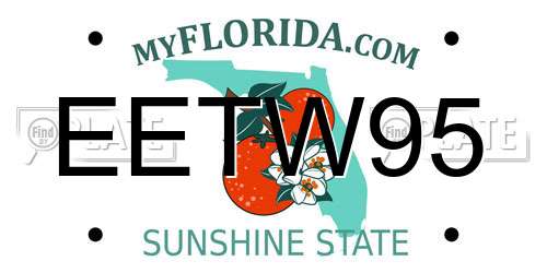 EETW95 Florida License Plate
