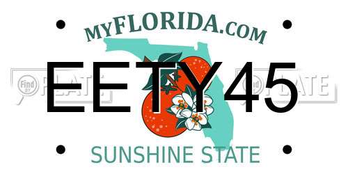 EETY45 Florida License Plate