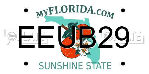 EEUB29 Florida License Plate