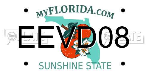 EEVD08 Florida License Plate