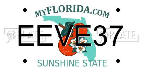EEVE37 Florida License Plate