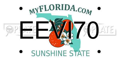 EEVI70 Florida License Plate