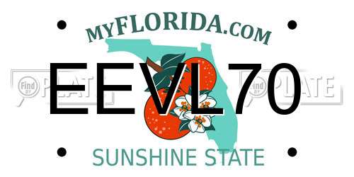 EEVL70 Florida License Plate
