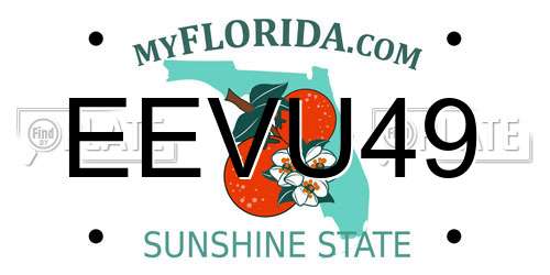EEVU49 Florida License Plate