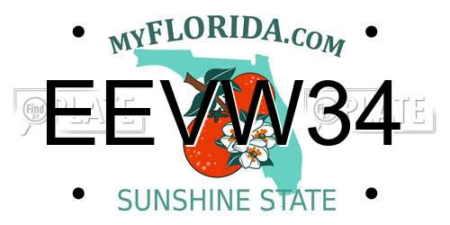 EEVW34 Florida License Plate