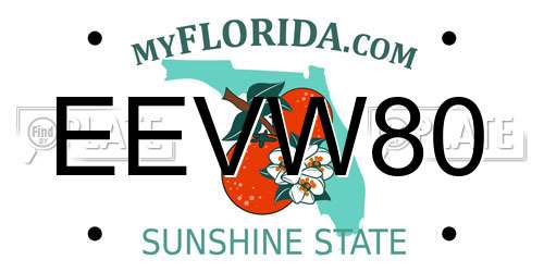 EEVW80 Florida License Plate