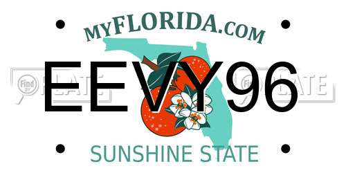 EEVY96 Florida License Plate