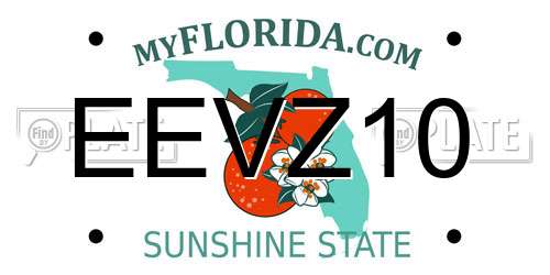 EEVZ10 Florida License Plate