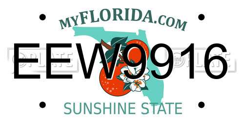 EEW9916 Florida License Plate