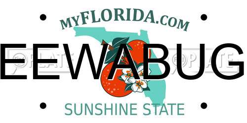 EEWABUG Florida License Plate