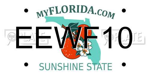 EEWF10 Florida License Plate