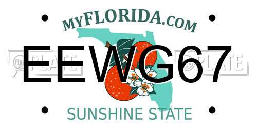 EEWG67 Florida License Plate