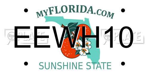 EEWH10 Florida License Plate