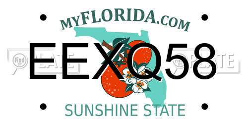 EEXQ58 Florida License Plate
